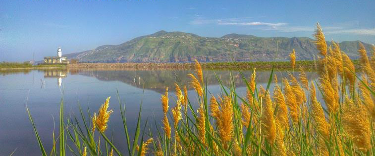 Salina Food and Film Tour 2018